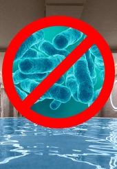 Swimming Pool Legionnaires