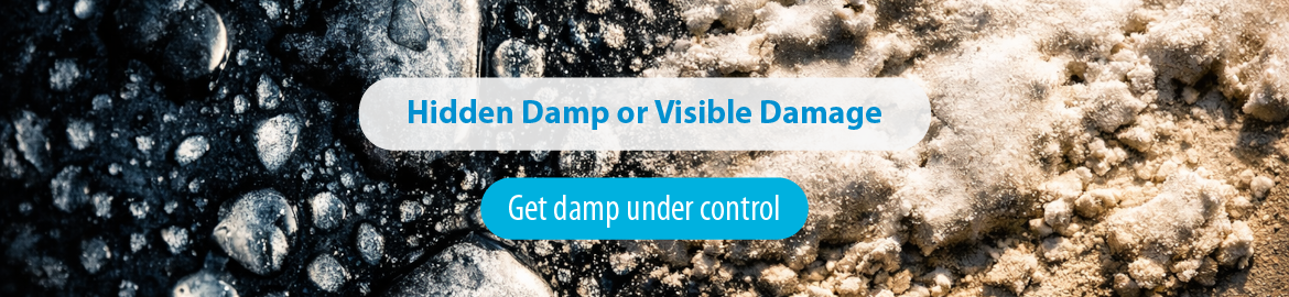 Damp focused banner for blog