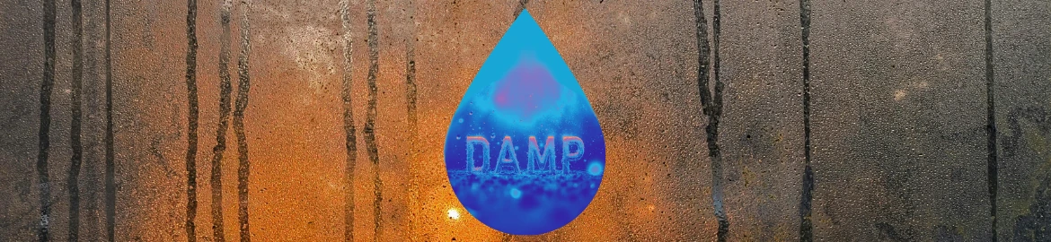 Damp focused banner for blog