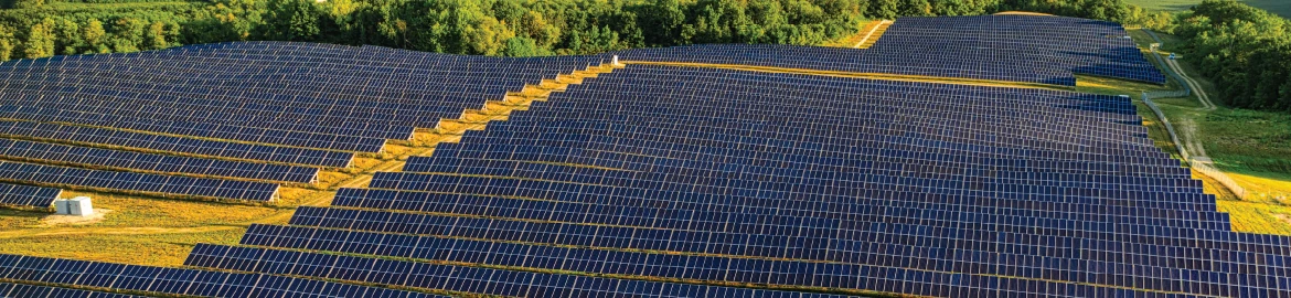 Solar farm solar panels