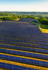 Solar farm solar panels